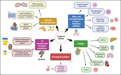 Editorial: A year in review: discussions in cellular endocrinology